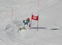 Landes-Ski-2015 32 Dietmar Pühringer